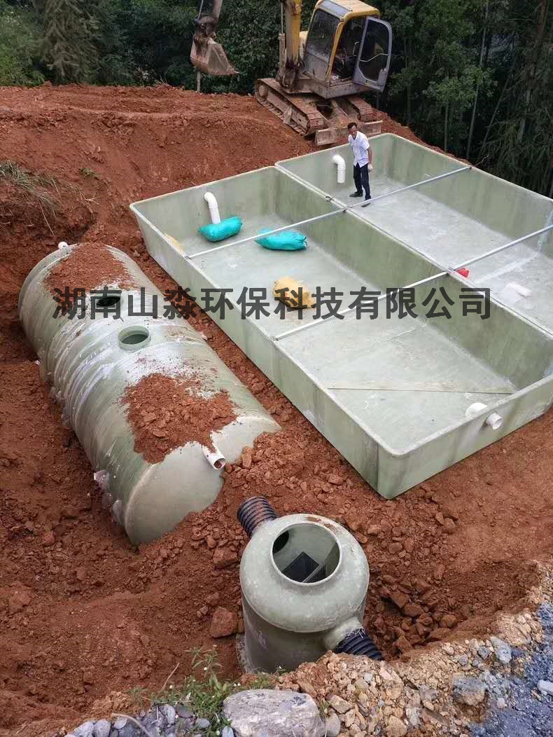 净化池+人工湿地